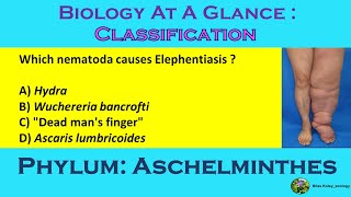 CLASSIFICATION  Phylum Aschelminthes  BSc ZOOLOGY  NEET  SLST [upl. by Tilney657]