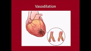 Cardiac Biomarkers [upl. by Boucher]