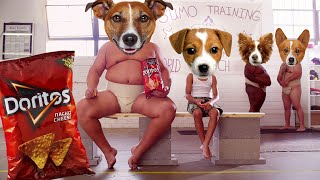 Doritos Commercial I Want Sumo Doritos Dog Head Version [upl. by Tranquada808]