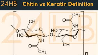 Chitin vs Keratin Definition  24HB [upl. by Aliam]