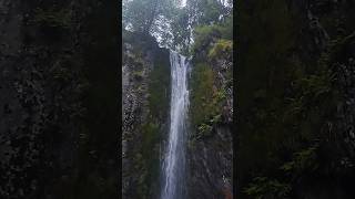 Snowdonias best kept secret waterfall 🤫 beautifulwales [upl. by Akitan]