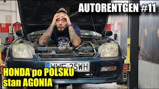 HONDA po POLSKU STAN AGONALNAY Gruby AUTORENTGEN 11 [upl. by Ecinom]