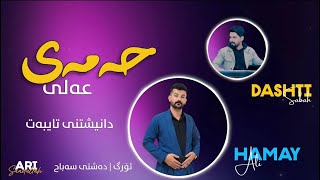 Hamay Ali 2024 Daneshtni Taibat  Maqam w garyan music Dashte Sabah [upl. by Gilroy]