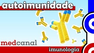 Autoimunidade  IMUNOLOGIA Vídeo 11 [upl. by Nerag]