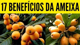 17 BENEFÍCIOS DA AMEIXA  beneficios milagrosos para saúde [upl. by Dearden]