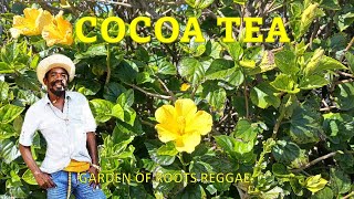 COCOA TEA  WICKED MAN  FEEL THE POWER  RASTAMAN GARDEN OF ROOTS REGGAE  EDUCATION [upl. by Elrebma]