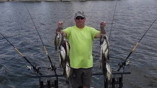 Crappie limits trolling crankbaits on Oologah lake [upl. by Ardek]