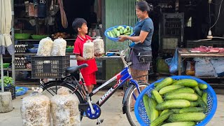 Harvest cucumbers in exchange for mushroom embryos for planting enjoy homemade grilled pork [upl. by Monsour]