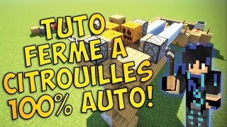 Tutoriel 1  Ferme à Citrouilles 100 Automatique [upl. by Nothgiel454]