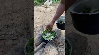 Outdoor Cooking Jamaica  Jamaican Callaloo  Saltfish jamaica asmr outdoorcooking shortsfeed [upl. by Ahsiuqat]