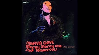 Marvin Gaye  Mercy Mercy Me The Ecology 1971 Soul Purrfection Version [upl. by Ianahs]