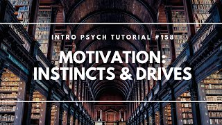 Motivation  Instincts amp Drives Intro Psych Tutorial 158 [upl. by Tawney750]