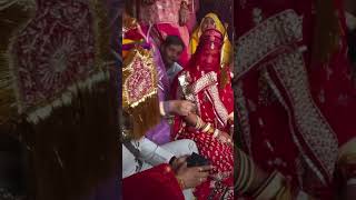 Rajputi wedding  youtubeshort love baisaculture wedding rajputbaisa trending wha [upl. by Abner676]