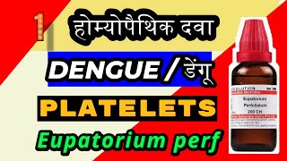 Eupatorium perfoliatum 200 for dengue  Eupatorium perf 200 for platelets count  dengue [upl. by Duck]