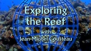 Exploring the Reef with JeanMichel Cousteau [upl. by Blisse]