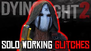 Dying Light 2 Working Solo Glitches Patch 118 [upl. by Efal922]