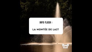 INFO FLASH  la montée de lait [upl. by Aisela787]