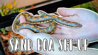 Kenyan Sand Boa Set Up  Reptizoo Stacking Terrariums [upl. by Isawk]