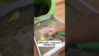 Cat litter china supplier Mineral cat litter wholesale Cat litter factory price cat petcare [upl. by Kragh]