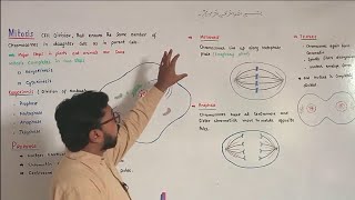 Mitosis  Prophase  Metaphase  Anaphase  Telophase  FScBiology [upl. by Leler]