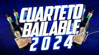 🔥🎉 CUARTETO BAILABLE 2024 REMIX  DJ NAICKY 2024 🎉🔥 [upl. by Hsitirb503]