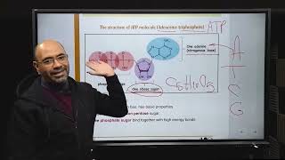 Glycolysis  Sec 2 [upl. by Eylsel610]