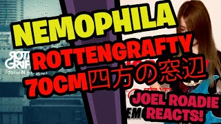 ROTTENGRAFFTY  70cm四方の窓辺 Cover by NEMOPHILA  Roadie Reacts [upl. by Amora188]