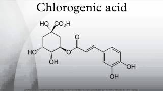 Chlorogenic acid [upl. by Nagaek]