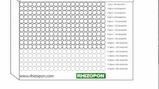 Rhizopon AA comprimés pour les boutures de Vitis vinifera [upl. by Irabaj]