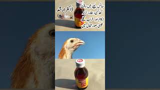 Catarrh Cough Labored breathing Cold Flu Sneezing and Fever Treatment in Poultry Birds [upl. by Hild]