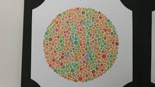 Video 6 The Ishihara Test for Colour Vision [upl. by Phina]