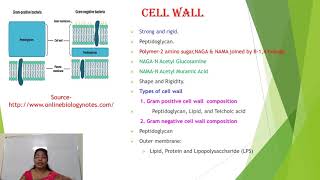 Ultrastructure of Prokaryotic CellPart I [upl. by Ennayehc]