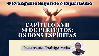 Os Bons Espíritas  Cap XVII Item 4 O Evangelho Segundo o Espiritismo Palestrante Rodrigo Mella [upl. by Lliw]