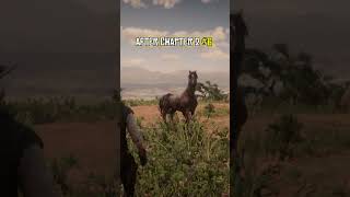 Best War Horses in RDR2 shorts reddeadredemtion2 [upl. by Lonni]