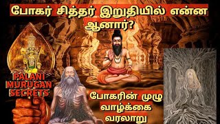 மர்மங்கள் நிறைந்த போகர் வரலாறு Navapasanam Statue Secrets BHOGAR  World Of Priyalakshmanan [upl. by Deuno889]