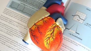 How to Treat an Enlarged Heart Naturally [upl. by Baskett841]