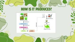 BIOFUEL PRESENTATION FOCUSING ON BIODIESEL [upl. by Liane]