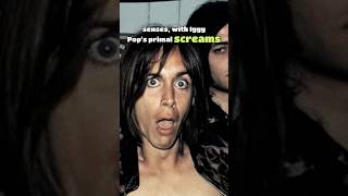 The Stooges  The Stooges  60 SECOND ALBUM REVIEW thestooges [upl. by Etty]