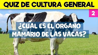 18 PREGUNTAS DE CULTURA GENERAL PARA JUGAR CON LA FAMILIA  TRIVIAL DE CULTURA GENERAL [upl. by Ecinaj]