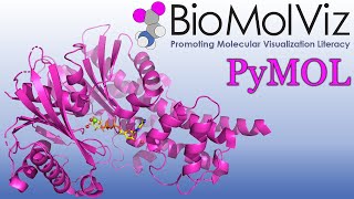 PyMOL Tutorial Active Site Modeling [upl. by Primavera450]