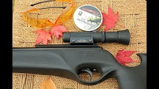 The BSA quotLightning XL Tacticalquot air rifle in 177 caliber [upl. by Nirat]