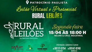 ✅📌 Leilão Presencial e Virtual Rural Leilões  Patrocínio PaulistaSP [upl. by Eterg58]