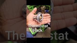 Thermostat Hack [upl. by Nyliuqcaj]