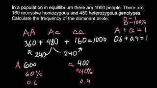 How to calculate allele frequency [upl. by Ary]