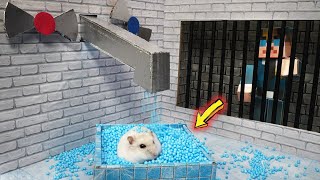 🐹Hamster Escapes the Awesome Sink Maze Obstacle Course🐹 for Pets in real life [upl. by Taber]