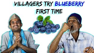 Villagers Try Blueberry First Time  Tribal People Try Blueberries [upl. by Anilam43]