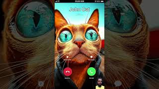 বিড়ালের ভিডিও cat videos cartoonvideo catviral viralcat funny cat cartoonshots animals [upl. by Olmsted]