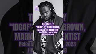 Tee Grizzley Chris Brown Mariah The Scientist “IDGAF” 2020s music shorts Episode 131 [upl. by Aiuqes]