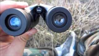 Bushnell Perma Focus Binocular Review by MUDD CREEK [upl. by Hirai]