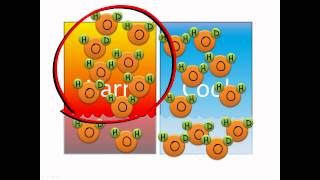 Isotope fractionation [upl. by Aivila970]